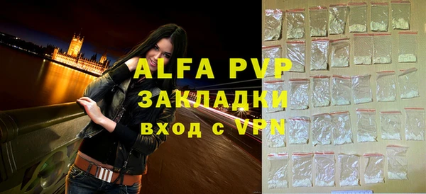 индика Рославль
