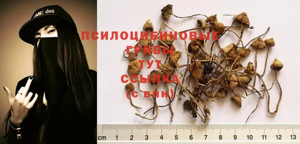 Альфа ПВП Волоколамск