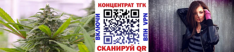 где найти   Камызяк  ТГК концентрат 