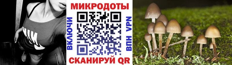 hydra зеркало  Камызяк  Псилоцибиновые грибы MAGIC MUSHROOMS  цена наркотик 